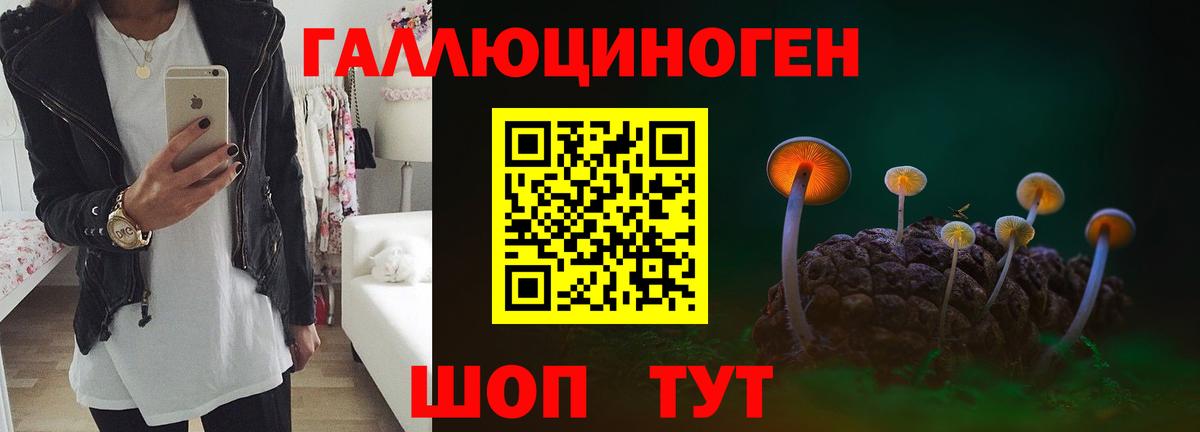 Галлюциногенные грибы Psilocybine cubensis Россошь