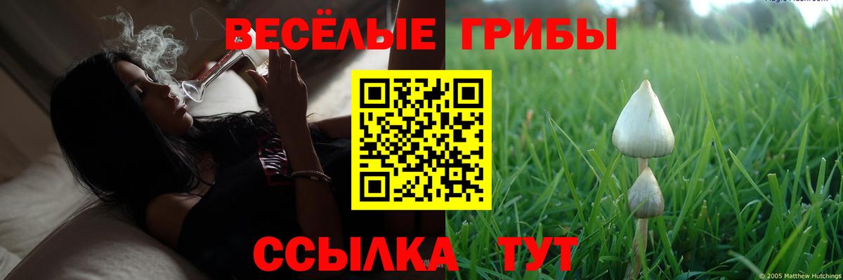 купить закладку  Вход с VPN  Галлюциногенные грибы Cubensis  Россошь  Псилоцибиновые грибы Cubensis 